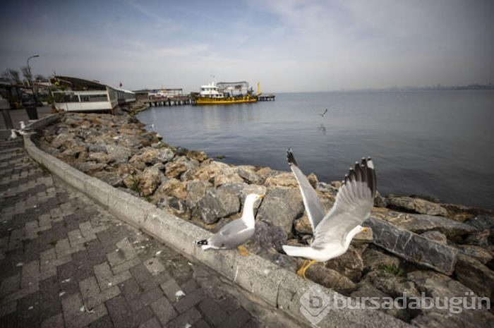 Büyükada'da corona virüs sessizliği