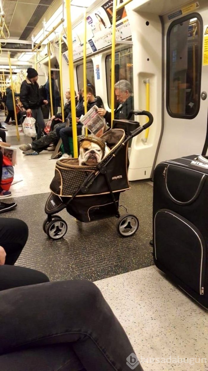 Metro istasyonunda tüylerini aldı