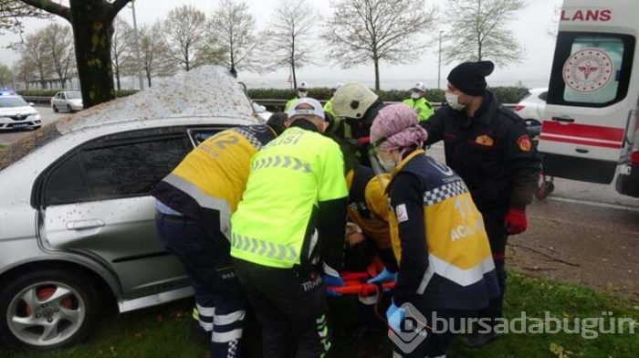 Yoldan çıkan otomobil ağaca çarptı