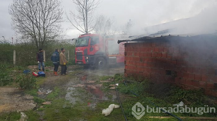 Düzce'de elektrik arızası yüzünden 12 bin tavuk telef oldu