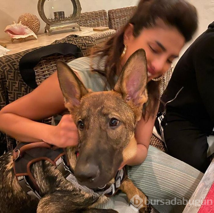 Priyanka Chopra anne olmak istiyor