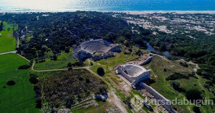2020'nin teması patara! 