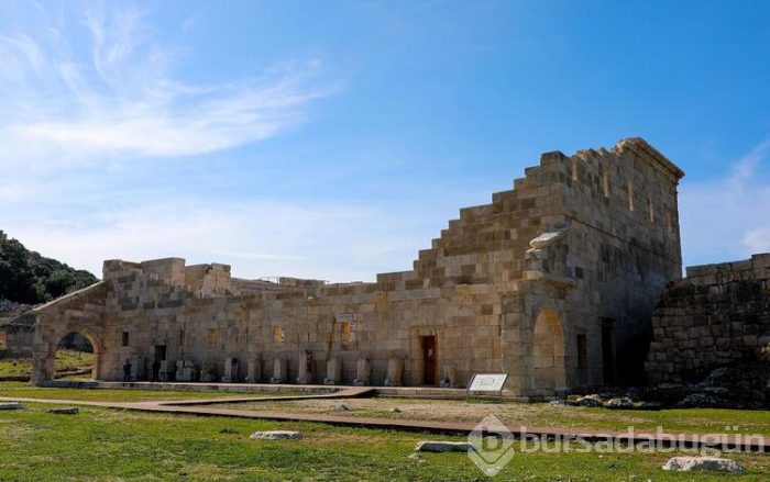 2020'nin teması patara! 