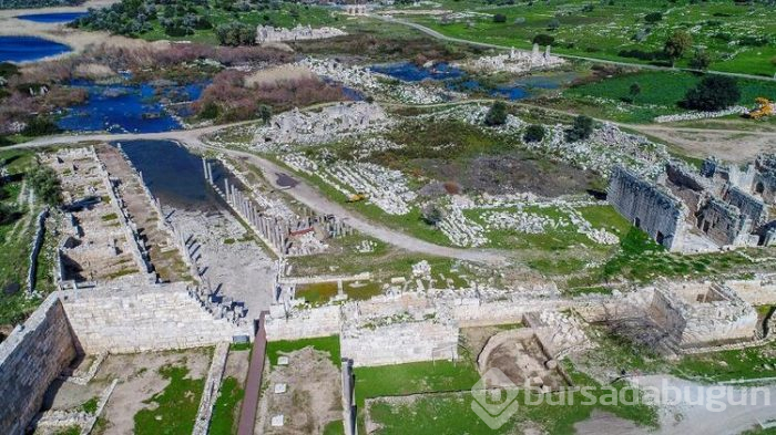 2020'nin teması patara! 