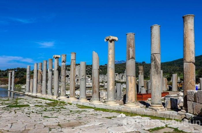 2020'nin teması patara! 