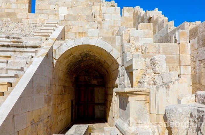 2020'nin teması patara! 