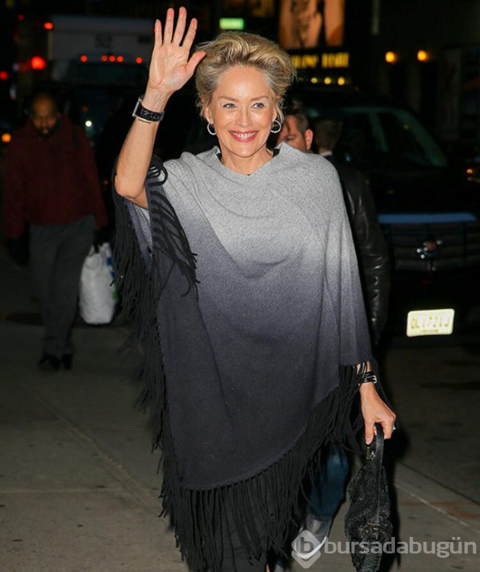 Sharon Stone internette gerçek hayatta hiç tanışmadığı erkeklerle tanıştığını söyledi