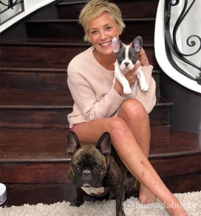 Sharon Stone internette gerçek hayatta hiç tanışmadığı erkeklerle tanıştığını söyledi