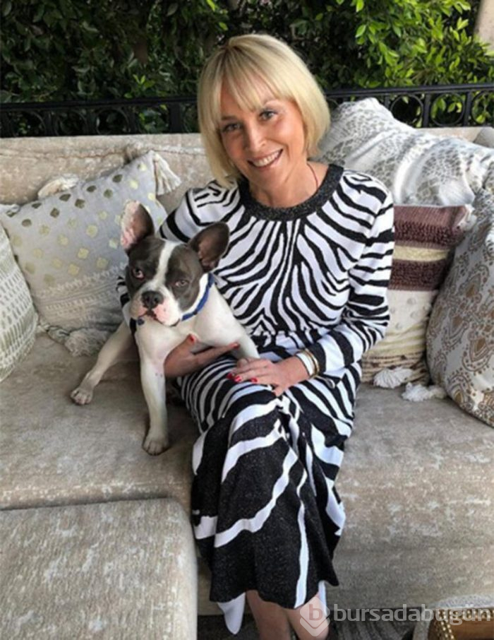 Sharon Stone internette gerçek hayatta hiç tanışmadığı erkeklerle tanıştığını söyledi