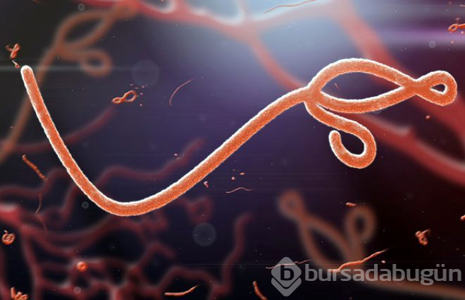 Geçmişten günümüze insanlığın savaştığı 8 ölümcül virüs