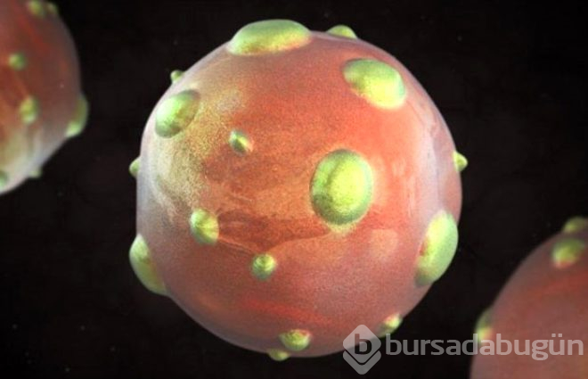 Geçmişten günümüze insanlığın savaştığı 8 ölümcül virüs