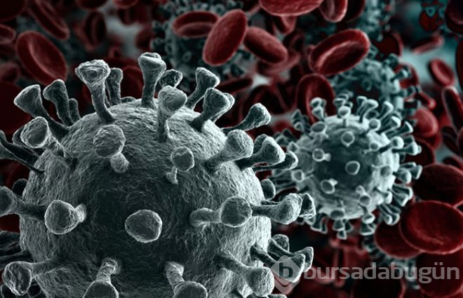 Geçmişten günümüze insanlığın savaştığı 8 ölümcül virüs