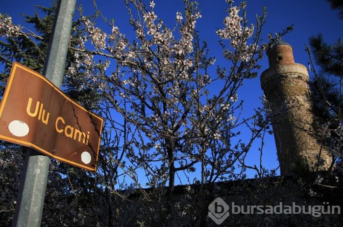 Haput'a bir de böyle bakın! 