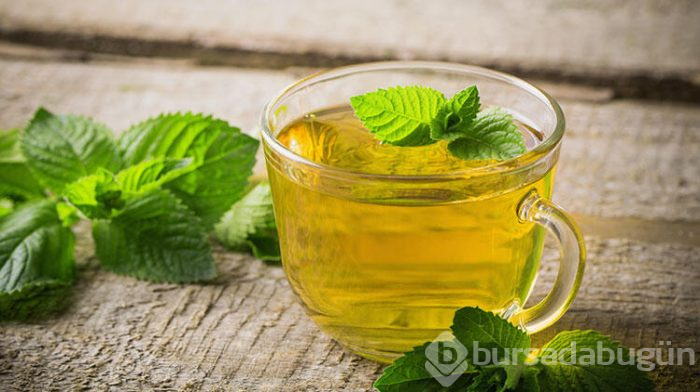 Evde istenmeyen tüylerden nasıl kurtulunur?