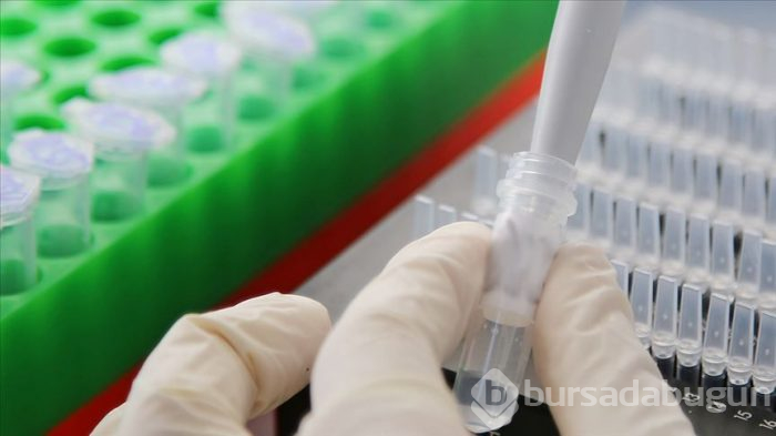Umut veren açıklama geldi! Koronavirüse alternatif tedavi