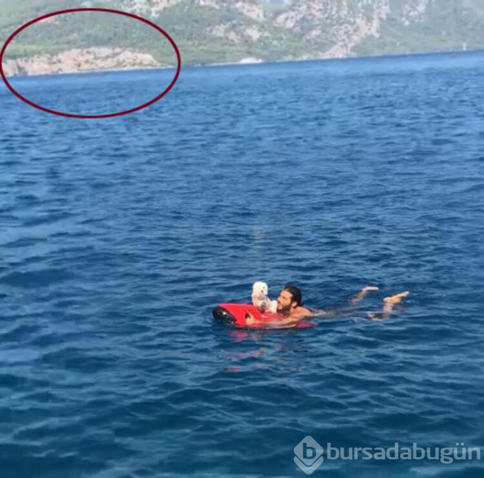 Burçin Terzioğlu'nun yeni aşkı! 