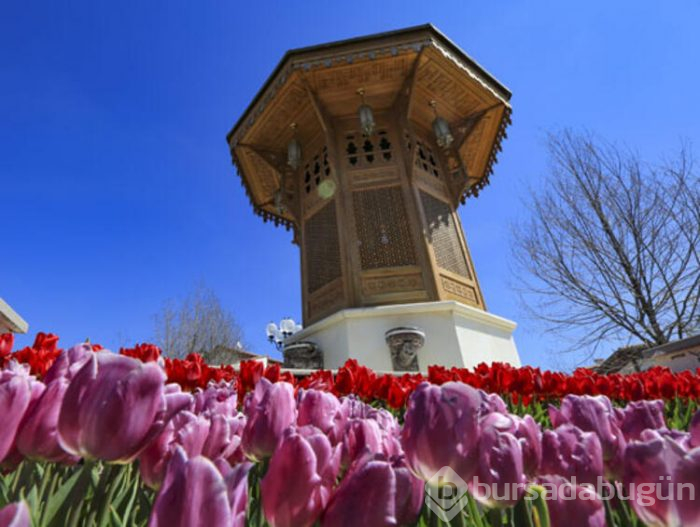 Ankara'da bahar! 