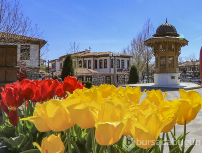Ankara'da bahar! 