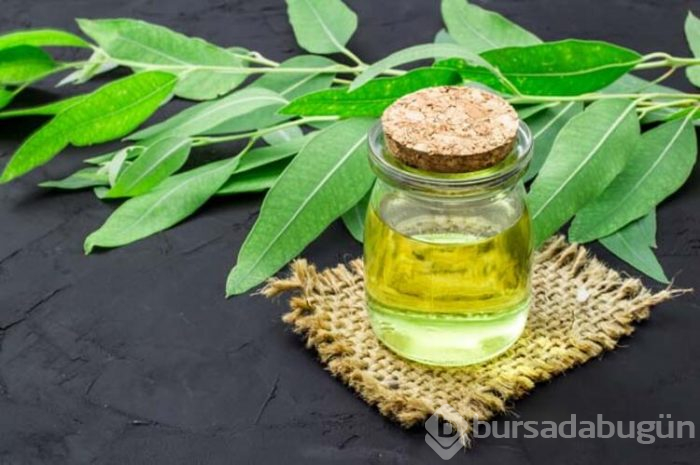 Akciğerlerinizi bu besinlerle güçlendirin 