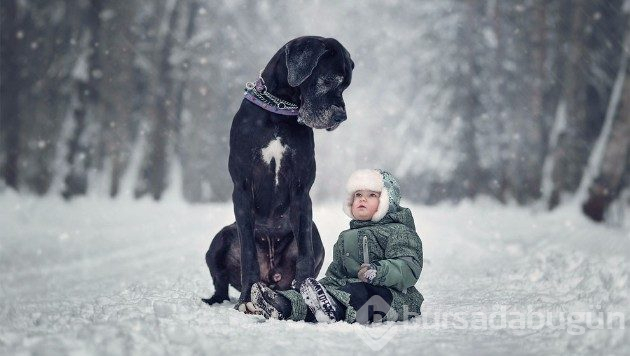 Büyük köpekler ve küçük dostları