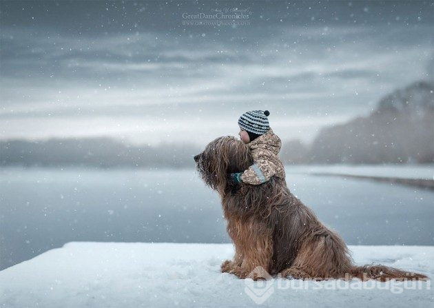 Büyük köpekler ve küçük dostları