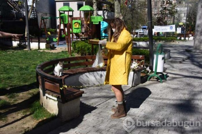 'Gelen evlilik tekliflerinden sıkıldım'