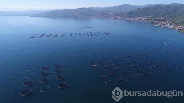 Korona virüs sonrası herkes peşinde! 