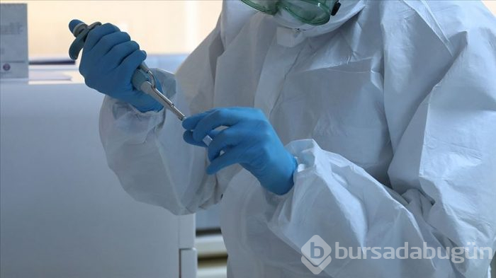 "Koronavirüs ile ilgili tüm bilinenler yanlış"