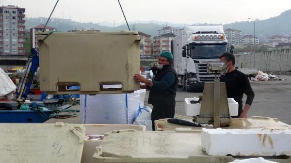 Kültür balıklıçılığına ilgi arttı