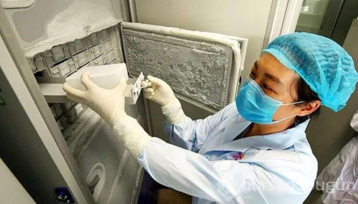 Çin'den gelen fotoğraflar dünyayı salladı! 1500 farklı virüs saklanmış