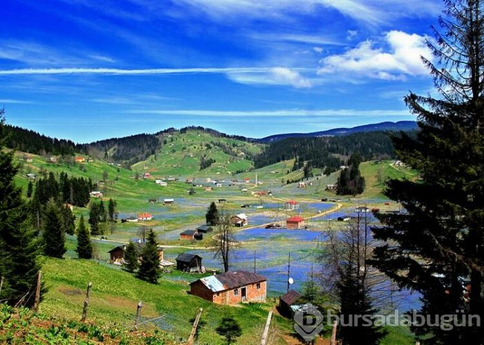 Koronavirüs nedeniyle 'Mor Yayla'ya ziyaretçi yasağı