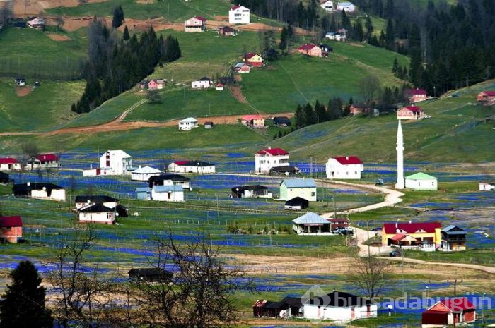 Koronavirüs nedeniyle 'Mor Yayla'ya ziyaretçi yasağı