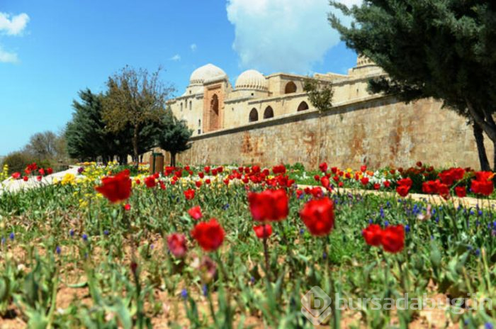 Mardin gelecekten umutlu