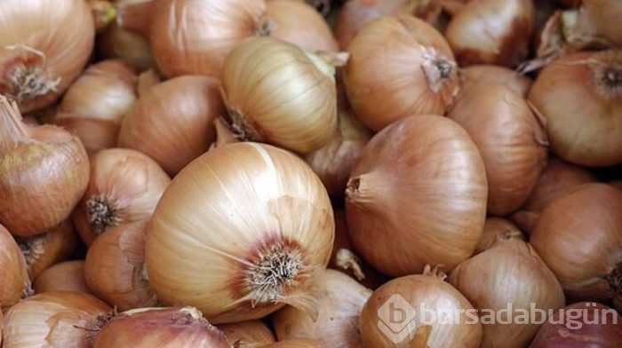 Soğan kabuklarını nasıl kullanabiliriz?
