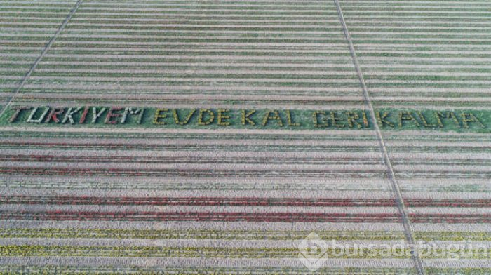 Konya'dan lalelerle mesaj var