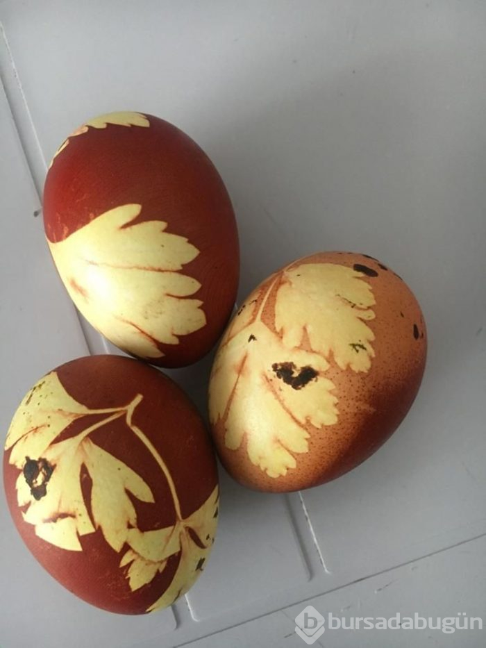 Tavuğun yumurtası maydanoz deseniyle çıktı