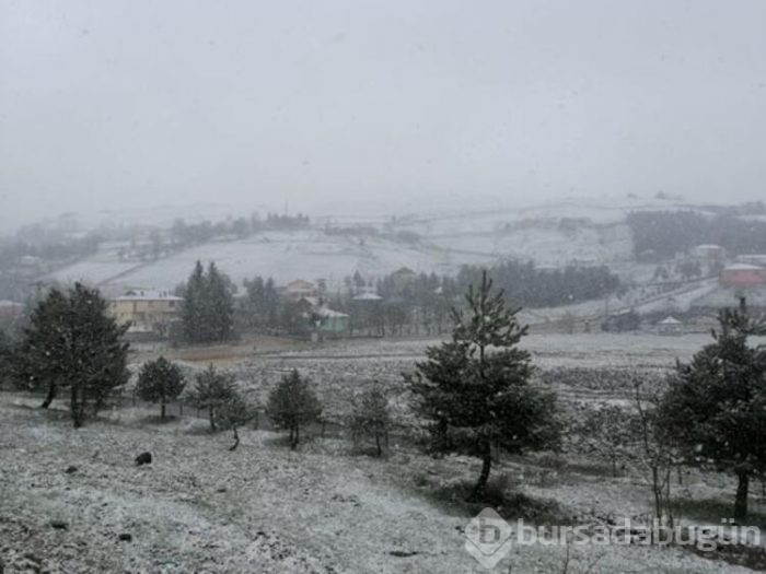 Ordu'daki yaylalar beyaza büründü