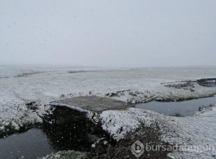 Ordu'daki yaylalar beyaza büründü