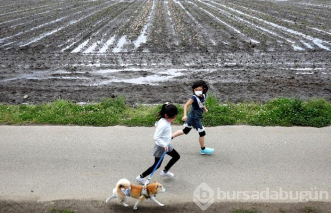 Japonya'da halk koronavirüse aldırmayınca hükümet çareyi laleleri kesmekte buldu! 