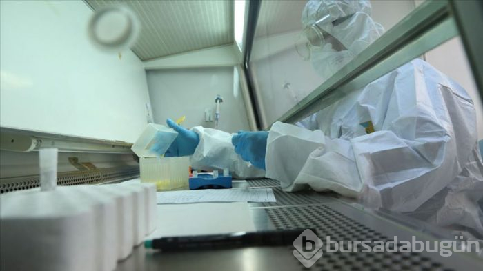 6 aşının insan üzerindeki testleri başladı