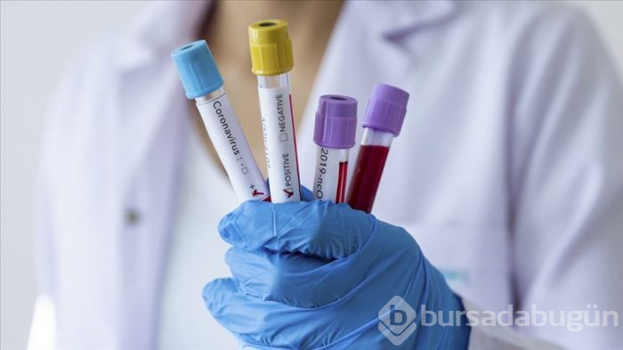 6 aşının insan üzerindeki testleri başladı