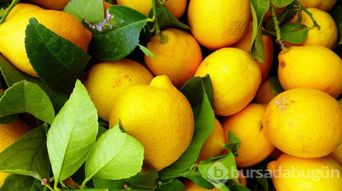 Tırnaklarınızı evde güçlendirmek çok kolay 