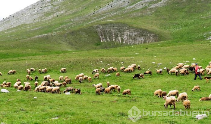 Burada sadece 20 kişi yaşıyor 