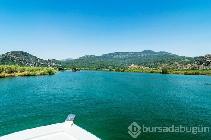 Koronadan sonra Dalyan'da her şeyi unutacaksınız! 
