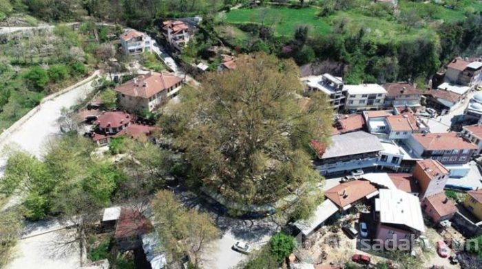 İnkaya koronavirüs yüzünden ilk kez boş kaldı