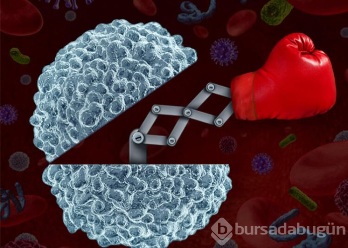 Korona virüse karşı güçlendirici gıdalar 