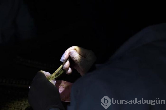 Kilosu 7 bin lira! Talep çok fazla 