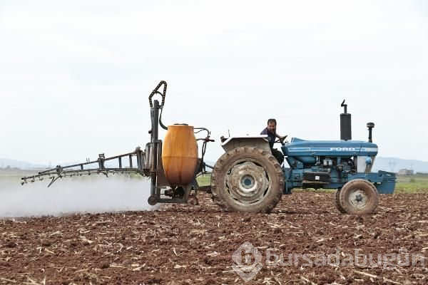 Diyarbakır'da virüse rağmen tarım sürüyor 