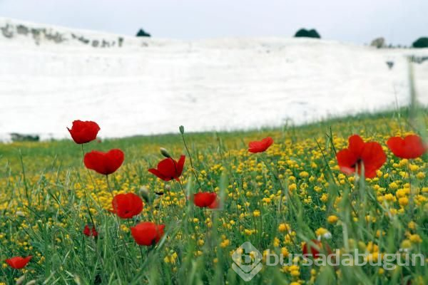 Pamukkale rengarenk