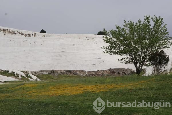 Pamukkale rengarenk